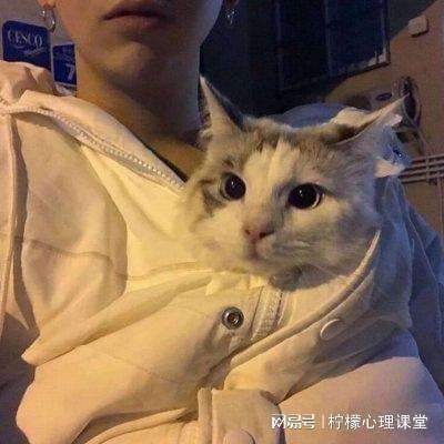 至尊火柴人格斗最新版下载